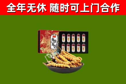 伊犁烟酒回收冬虫夏草礼盒.jpg